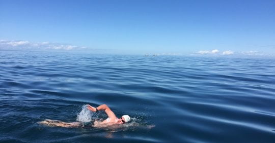 Daily Open Water Swimming Trips